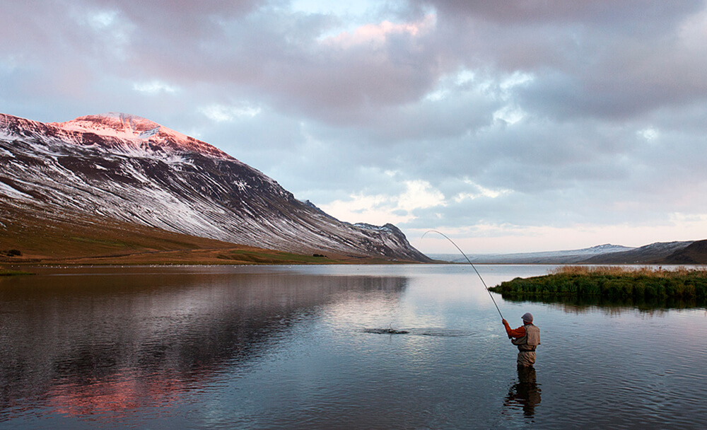 ministry of fisheries iceland