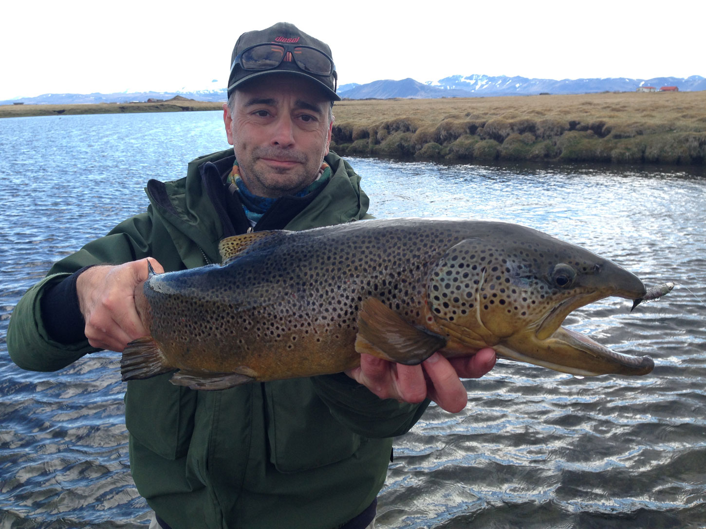 Brown trout - River Minni