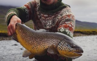 Brown Trout Fishing in Iceland in 2022