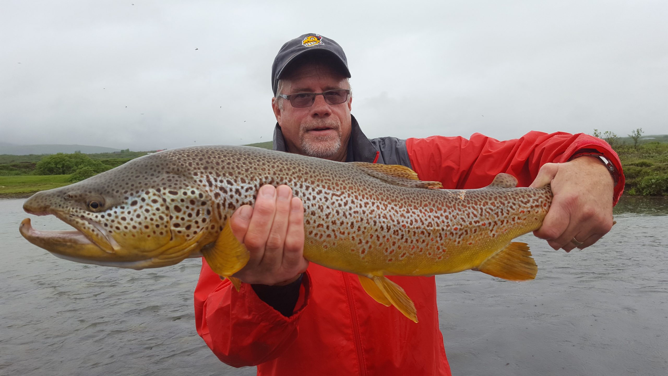 Fishing tours from Reykjavik