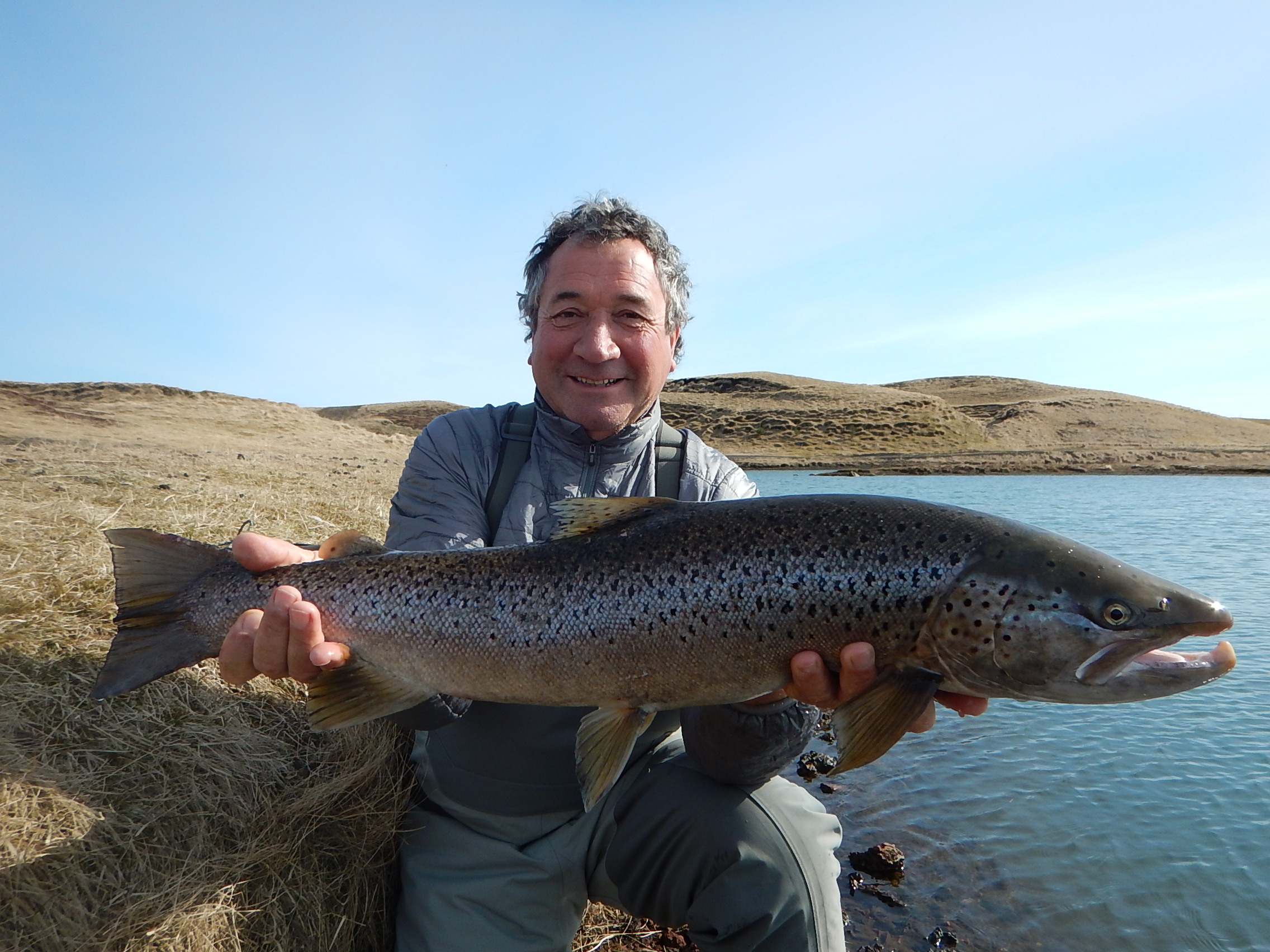 Pick ONE! - If you could fish for one of these, brown trout, arctic char,  sea trout or salmon. Which one would you pick? Fact: in Iceland