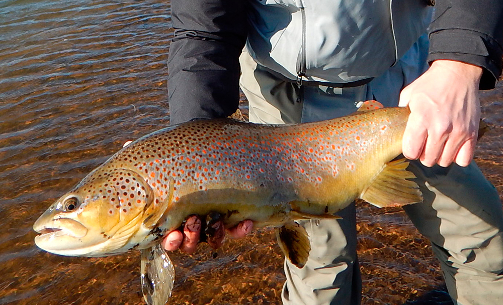 Holaa river in Iceland. Fishing permits at holaa river in Iceland