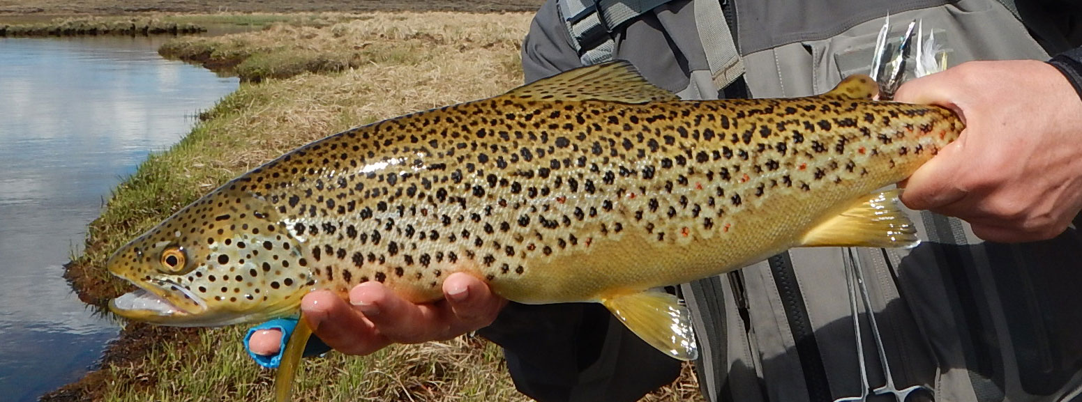 Highland Fishing in Iceland in 2018