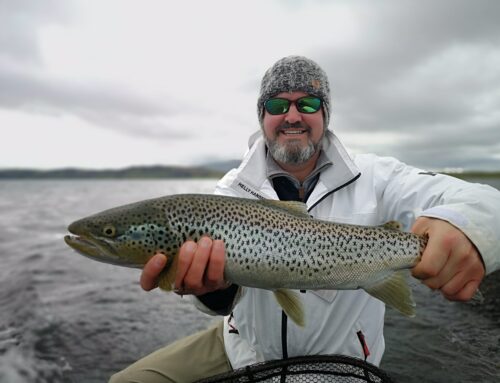 June Fishing in Iceland – Char and Trout – Availability