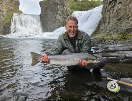 Salmon Fishing in Iceland in 2024 – contact us for more info