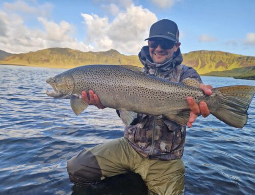 Happy New year – Fishing in Iceland in 2024