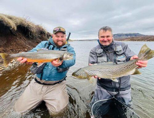 Fishing Day Tours in Iceland in 2025