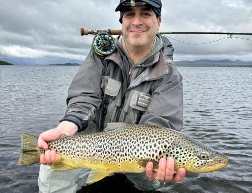 May and June Fishing in Iceland – Char and Trout – Availability