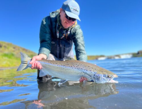 Salmon Fishing in Iceland in 2025