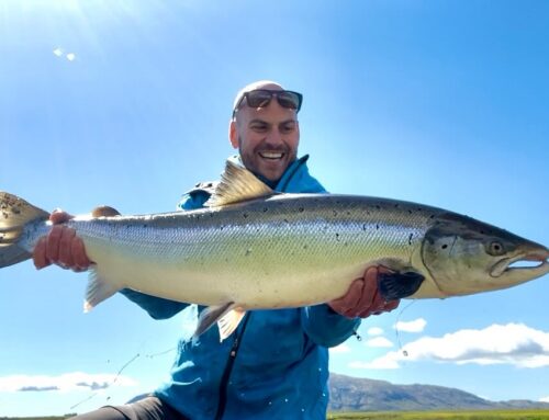 Budget Salmon Fishing in Iceland