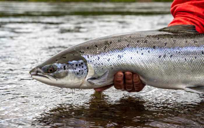 River Sog