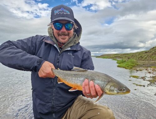 Best Time to Fish for Arctic Char in Iceland