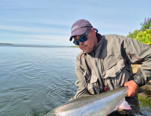 Salmon fishing in Iceland in 2026