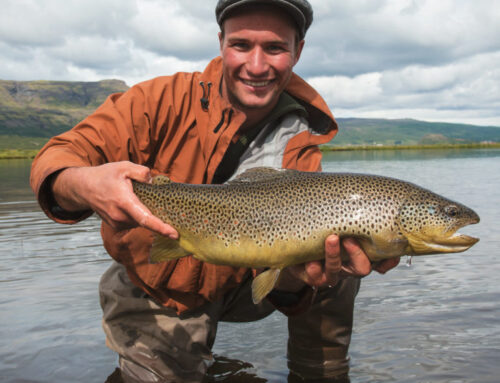 Fishing tours in Iceland in 2026
