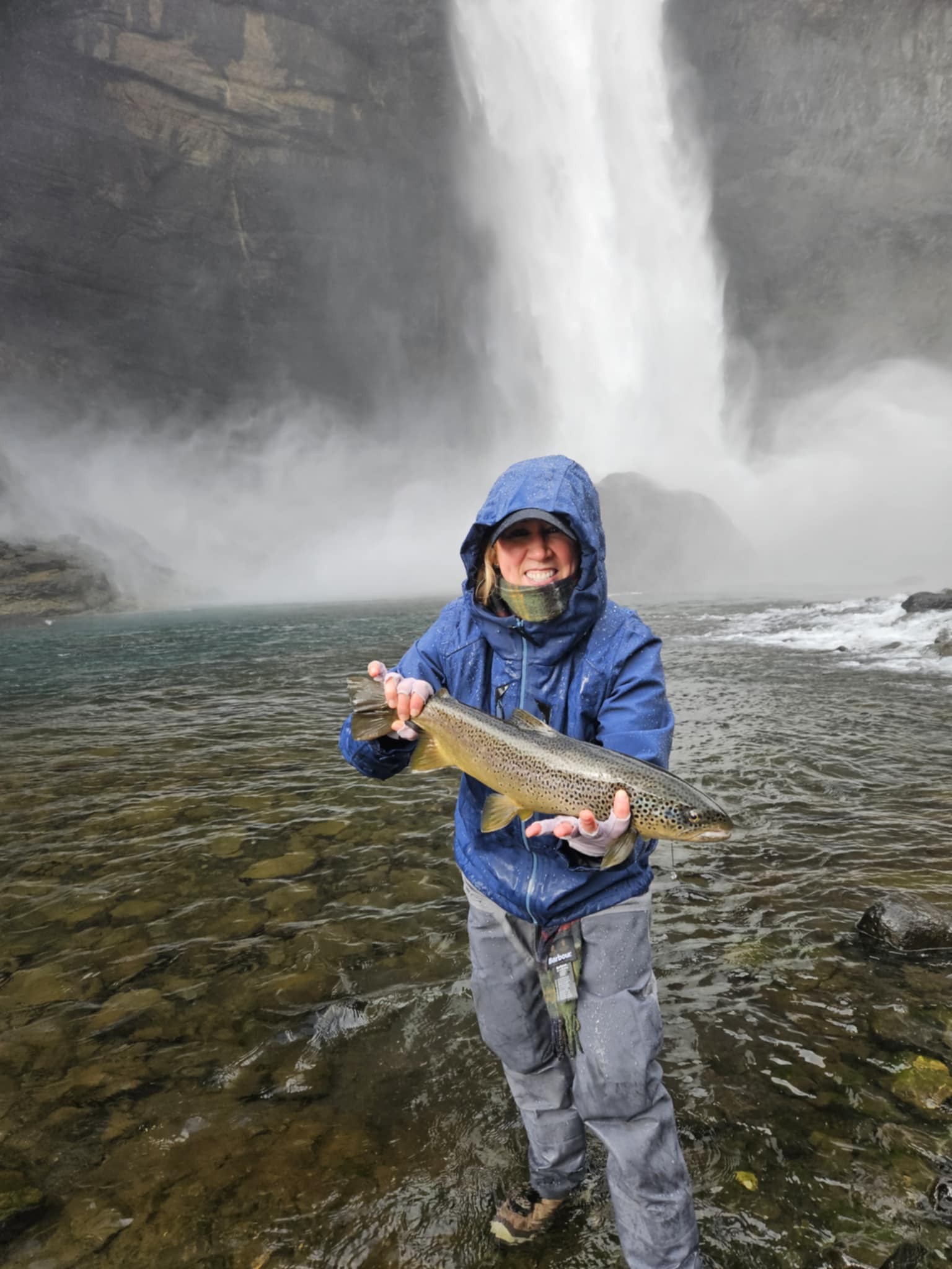 c3552a95-76d2-43cb-850d-81c30f8c5dd8