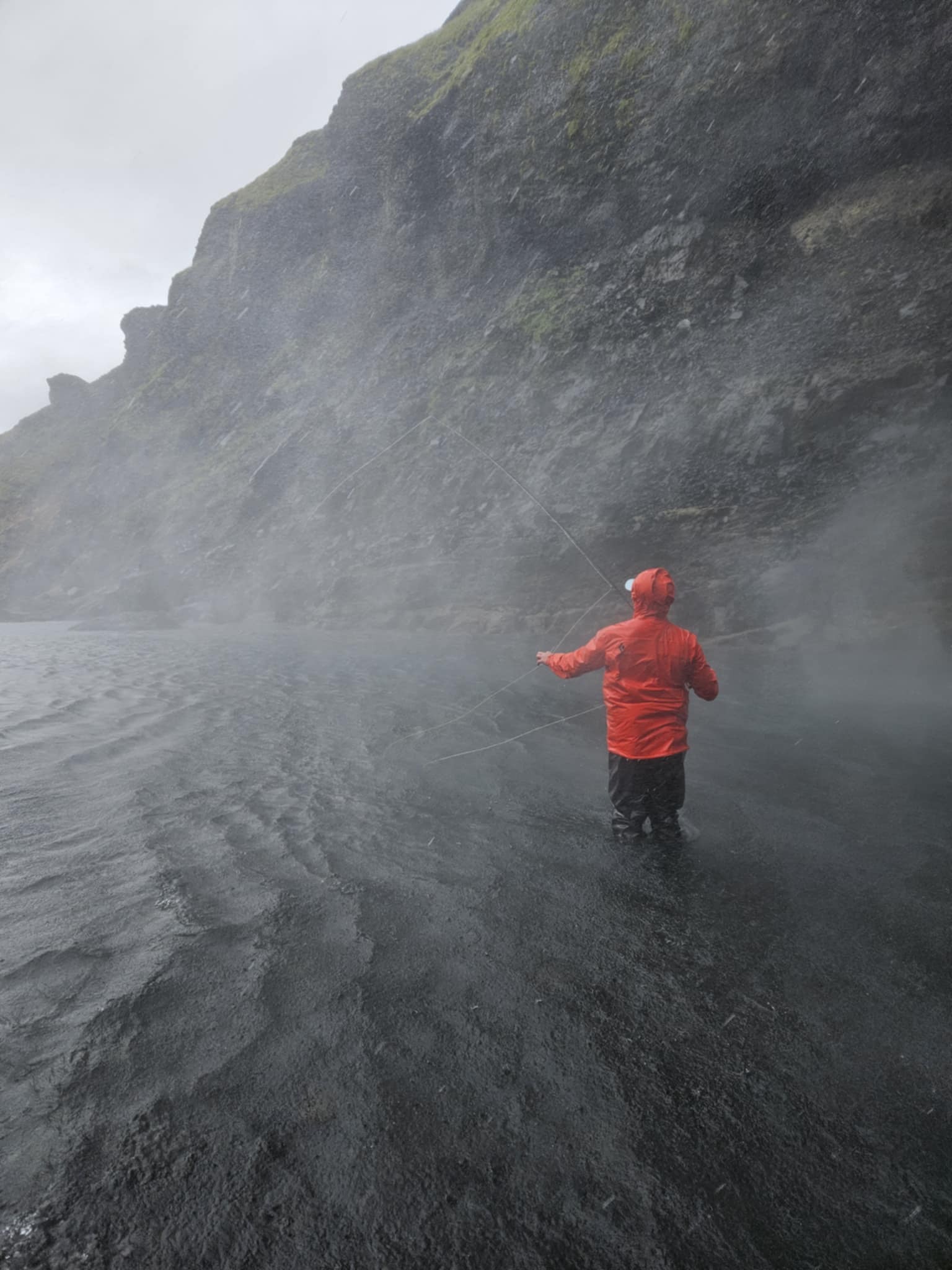 de8accc3-6017-43d2-8e4a-d2448bcd5da3