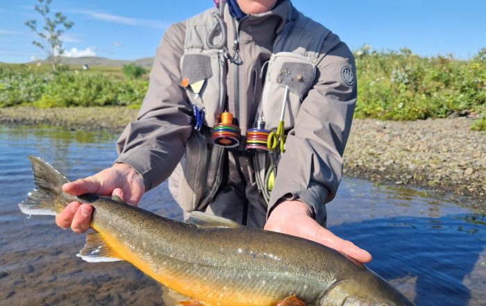 https://anglers.is/rivers-and-lakes/lake-laugarvatn-and-holaa-river/
