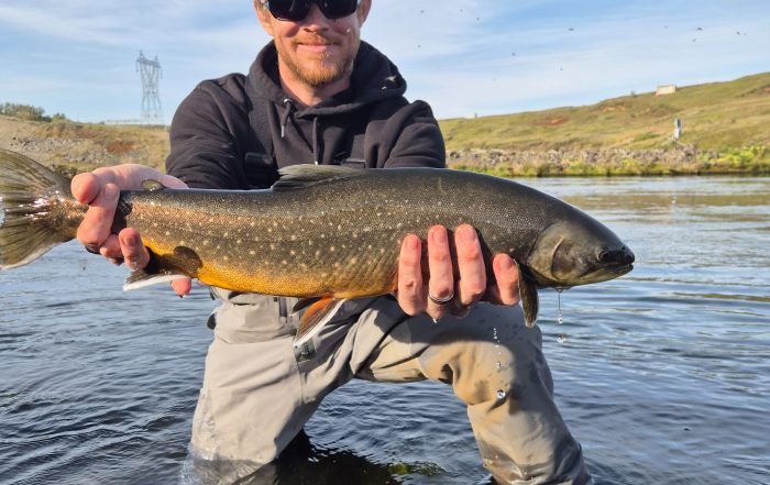 Fishing day tour in Iceland 2027