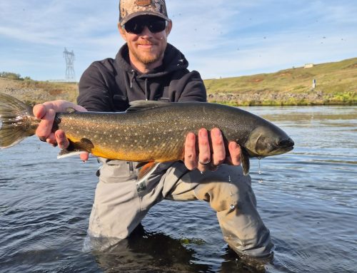 Fishing tour in Iceland in 2027 – bookings have started