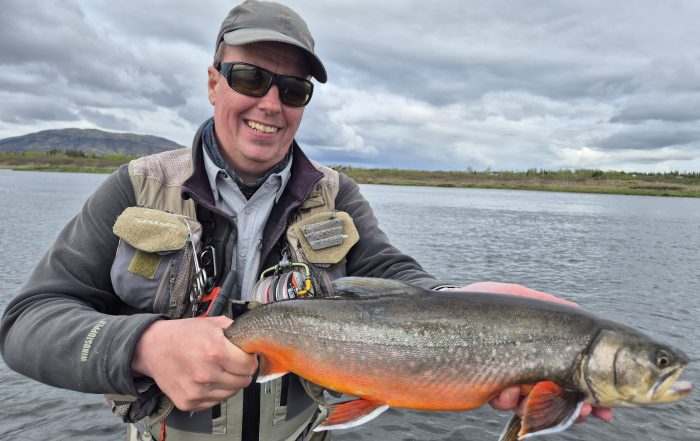 Arctic Char Fishing in Iceland