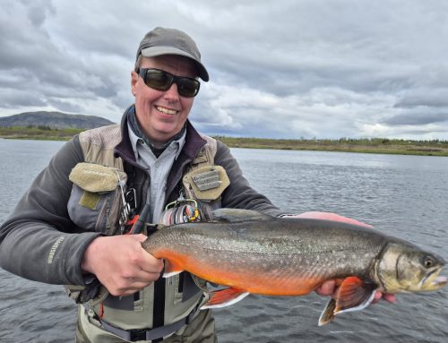 Arctic char fishing in Iceland in 2027