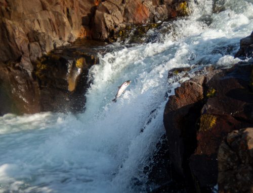More questions and answers for those interested in fishing in Iceland